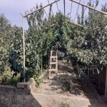 Satılır 7 otaqlı Həyət evi/villa, Masazır, Abşeron rayonu 12