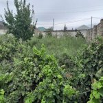 Satılır Torpaq, Buzovna, Xəzər rayonu 6