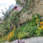 Kirayə (günlük) 2 otaqlı Həyət evi/villa Qəbələ 16