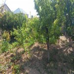 Satılır 3 otaqlı Həyət evi/villa Sumqayıt 6