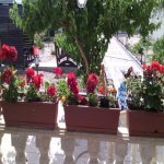 Satılır 5 otaqlı Həyət evi/villa, Azadlıq metrosu, Binəqədi qəs., Binəqədi rayonu 11