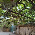 Satılır 5 otaqlı Həyət evi/villa, Fatmayi, Abşeron rayonu 13