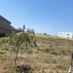 Satılır Torpaq, Aşağı Güzdək, Abşeron rayonu 11