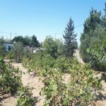 Satılır 4 otaqlı Bağ evi, Sabunçu rayonu 10