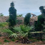 Satılır 4 otaqlı Həyət evi/villa, Lökbatan qəs., Sədərək ticarət mərkəzi, Qaradağ rayonu 3