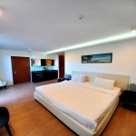 Kirayə (günlük) 1 otaqlı Bağ evi, Bilgəh qəs., Sabunçu rayonu 4