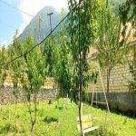 Kirayə (günlük) 4 otaqlı Həyət evi/villa Qəbələ 7