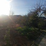 Satılır Torpaq, Qala, Xəzər rayonu 1