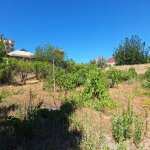 Satılır Torpaq, Novxanı, Abşeron rayonu 1
