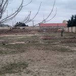 Продажа Участок, Новханы, Абшерон район 3