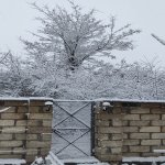 Посуточно 3 комнатная Дома/Виллы Гусар 1