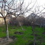 Satılır Torpaq Sumqayıt 18