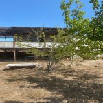 Satılır Torpaq, Saray, Abşeron rayonu 2