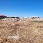 Satılır Torpaq, Saray, Abşeron rayonu 1