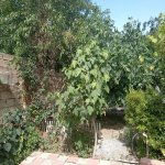 Satılır 3 otaqlı Həyət evi/villa, Mehdiabad, Abşeron rayonu 5