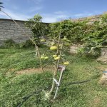 Satılır 6 otaqlı Bağ evi, Pirallahı rayonu 24