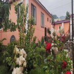 Kirayə (günlük) 3 otaqlı Həyət evi/villa Qəbələ 19