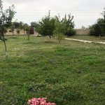 Satılır 3 otaqlı Həyət evi/villa Qəbələ 3