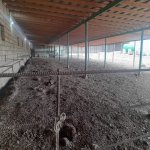 Satılır Obyekt, Qobu, Abşeron rayonu 5