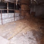 Satılır Obyekt, Binə qəs., Xəzər rayonu 11