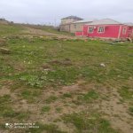 Satılır Torpaq, Fatmayi, Abşeron rayonu 3
