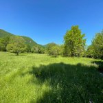 Продажа Участок Гябяля 7