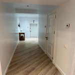 Kirayə (aylıq) 3 otaqlı Yeni Tikili, Nizami metrosu, Kubinka, Zabitlər parkı, Nəsimi rayonu 22