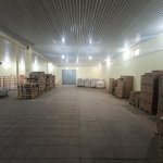 Kirayə (aylıq) Obyekt, Abşeron rayonu 43