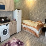 Аренда 1 комнатная Дома/Виллы Губа 4