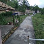 Kirayə (günlük) 4 otaqlı Bağ evi Quba 13