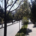 Kirayə (aylıq) 2 otaqlı Yeni Tikili, Elmlər akademiyası metrosu, Yasamal rayonu 15