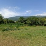 Satılır Torpaq İsmayıllı 1
