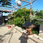 Kirayə (aylıq) 4 otaqlı Bağ evi, Buzovna, Xəzər rayonu 4