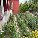 Satılır 4 otaqlı Həyət evi/villa Şirvan 14