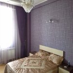 Kirayə (aylıq) 2 otaqlı Yeni Tikili, Nizami metrosu, Nəsimi rayonu 4