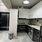 Kirayə (aylıq) 3 otaqlı Yeni Tikili, Nəriman Nərimanov metrosu, Heydər Əliyev Mərkəzi, Nərimanov rayonu 11
