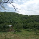 Kirayə (günlük) 3 otaqlı Həyət evi/villa Qəbələ 4