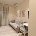 Аренда 1 комнатная Вторичка, м. Ичяришяхяр метро, Сябаиль район 11