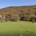 Продажа Участок Огуз 5