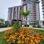 Продажа 1 комнатная Новостройка, м. Короглу метро, Наримановский р-н район 2