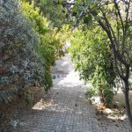 Kirayə (aylıq) 5 otaqlı Həyət evi/villa, Biləcəri qəs., Binəqədi rayonu 19