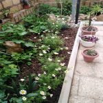 Satılır 5 otaqlı Həyət evi/villa, Masazır, Abşeron rayonu 6