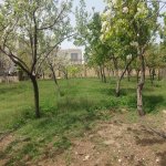 Satılır 4 otaqlı Həyət evi/villa, Saray, Abşeron rayonu 24