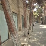 Kirayə (aylıq) Obyekt Xırdalan 3
