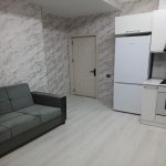 Kirayə (aylıq) 2 otaqlı Yeni Tikili, Qara Qarayev metrosu, Nizami rayonu 1
