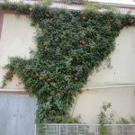 Satılır 3 otaqlı Həyət evi/villa, Nəriman Nərimanov metrosu, Nərimanov rayonu 3