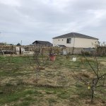 Продажа 3 комнатная Дача, пос. Курдаханы, Sea Breeze, Сабунчу район 20