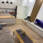 Kirayə (aylıq) 2 otaqlı Yeni Tikili, Nəriman Nərimanov metrosu, Montin qəs., Nərimanov rayonu 5