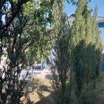 Kirayə (günlük) 4 otaqlı Həyət evi/villa İsmayıllı 8