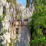 Satılır 6 otaqlı Bağ evi, Novxanı, Abşeron rayonu 9